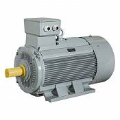 AC MOTOREN Electric Motors