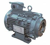 M series motor